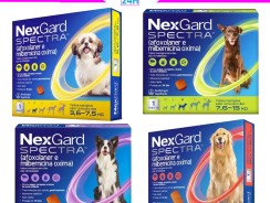 Nexgard Spectra Antipulgas e Vermífugo para Cães – 1 Comprimido – Boehringer Ingelheim