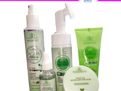 Kit Sabonete AntiOleosidade PH0567 + Mousse Micelar PH0566 + Água Termal PH0568 + Sérum AntiOleosidade PH0558 + Gel Hidratante Detox