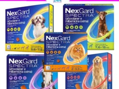 NexGard Spectra Antipulgas e Carrapatos e Vermífugo para Cães – 1 tablete